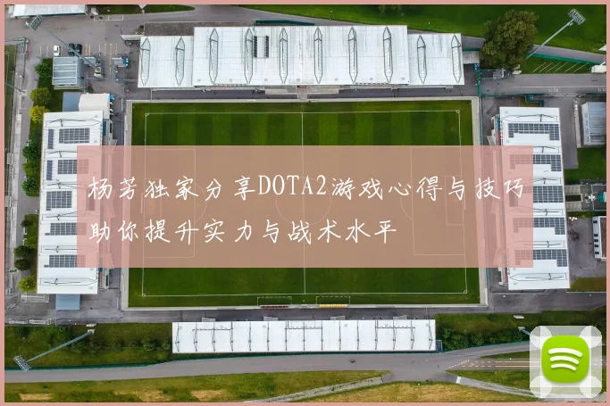 杨芳独家分享DOTA2游戏心得与技巧助你提升实力与战术水平